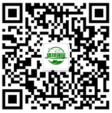 生物質顆粒機，綜合破碎機，強制進料木材粉碎機，香菇料木屑機，木材削片機，樹枝粉碎機微信